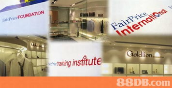 专业设计，塑造品牌 Bigfish Design Ltd的企业、产品与网页品牌设计服务